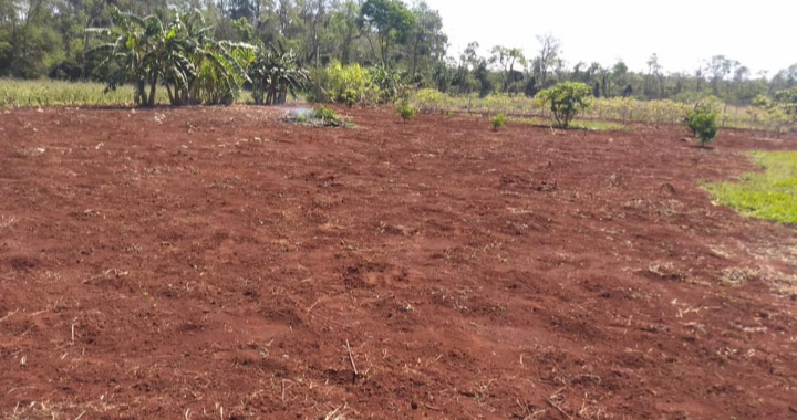 VENDE-SE CHÁCARA EM SANTA TEREZINHA DE ITAIPU