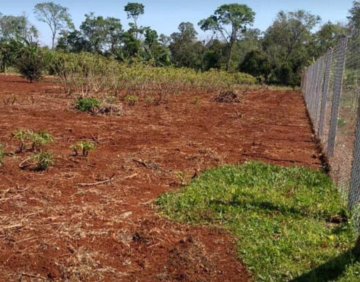 VENDE-SE CHÁCARA EM SANTA TEREZINHA DE ITAIPU